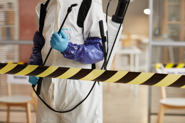Professional Biohazard Cleanup technician working in Paradise, UT